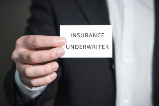 Insurance Underwriter | Find Jobs On Job Mail